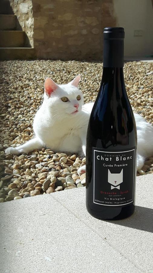 Le Cottage Du Chat Blanc Saint Didier  المظهر الخارجي الصورة