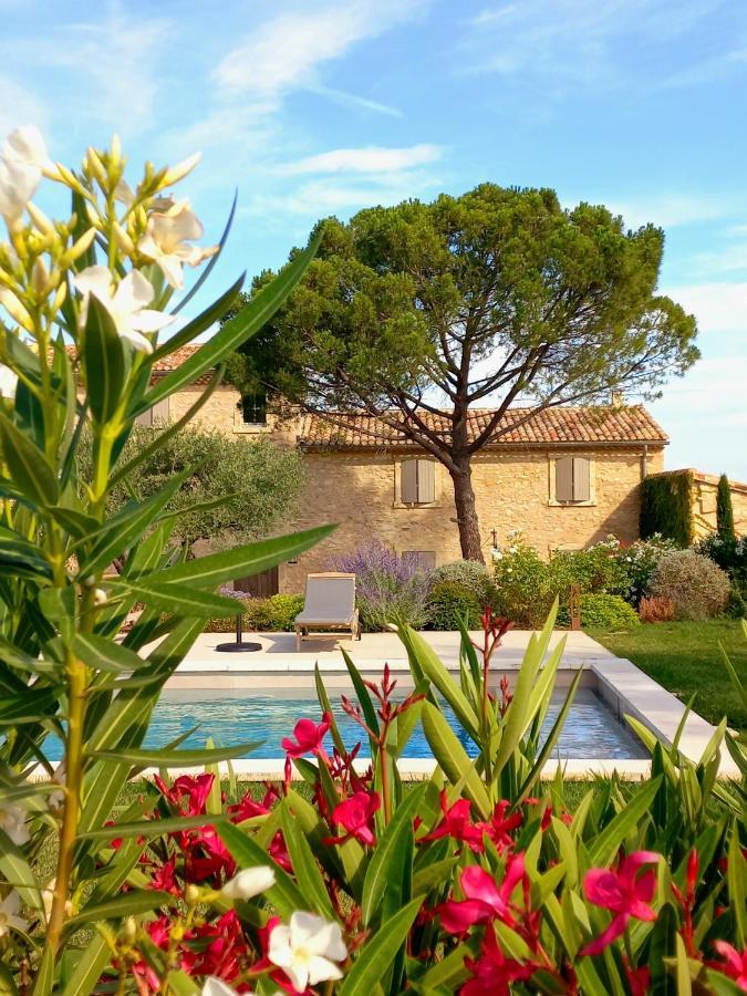 Le Cottage Du Chat Blanc Saint Didier  المظهر الخارجي الصورة